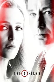 The X-Files (1993-)